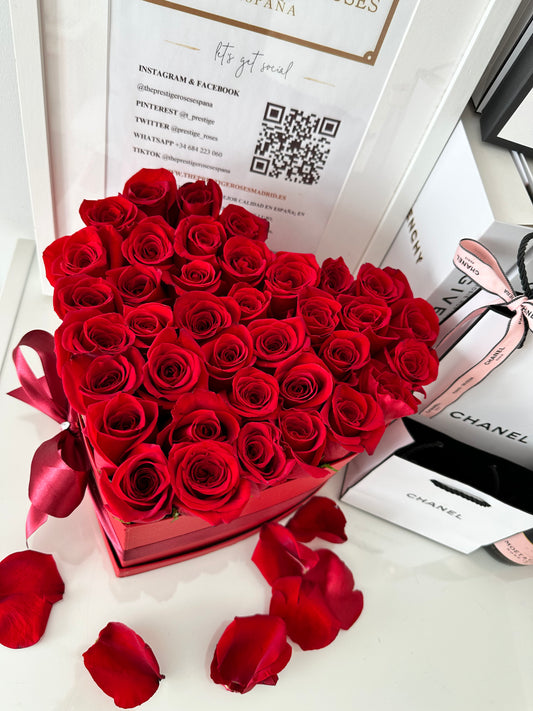 Caja de rosas frescas rojas en diseño de lujo con lazo rojo.