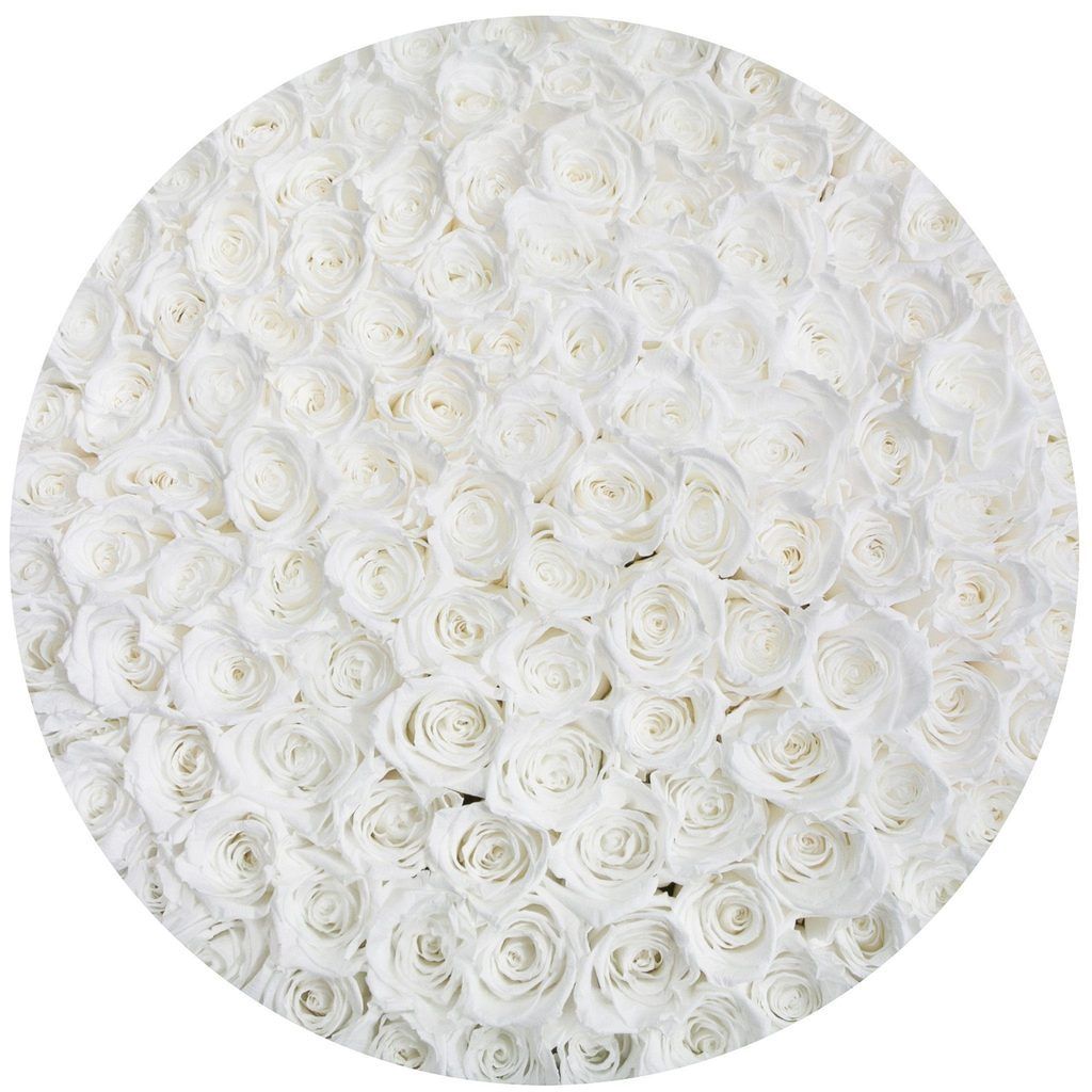 Arreglo floral de rosas frescas blancas en caja luxury premium, ideal para regalo aniversario o cumpleaños
