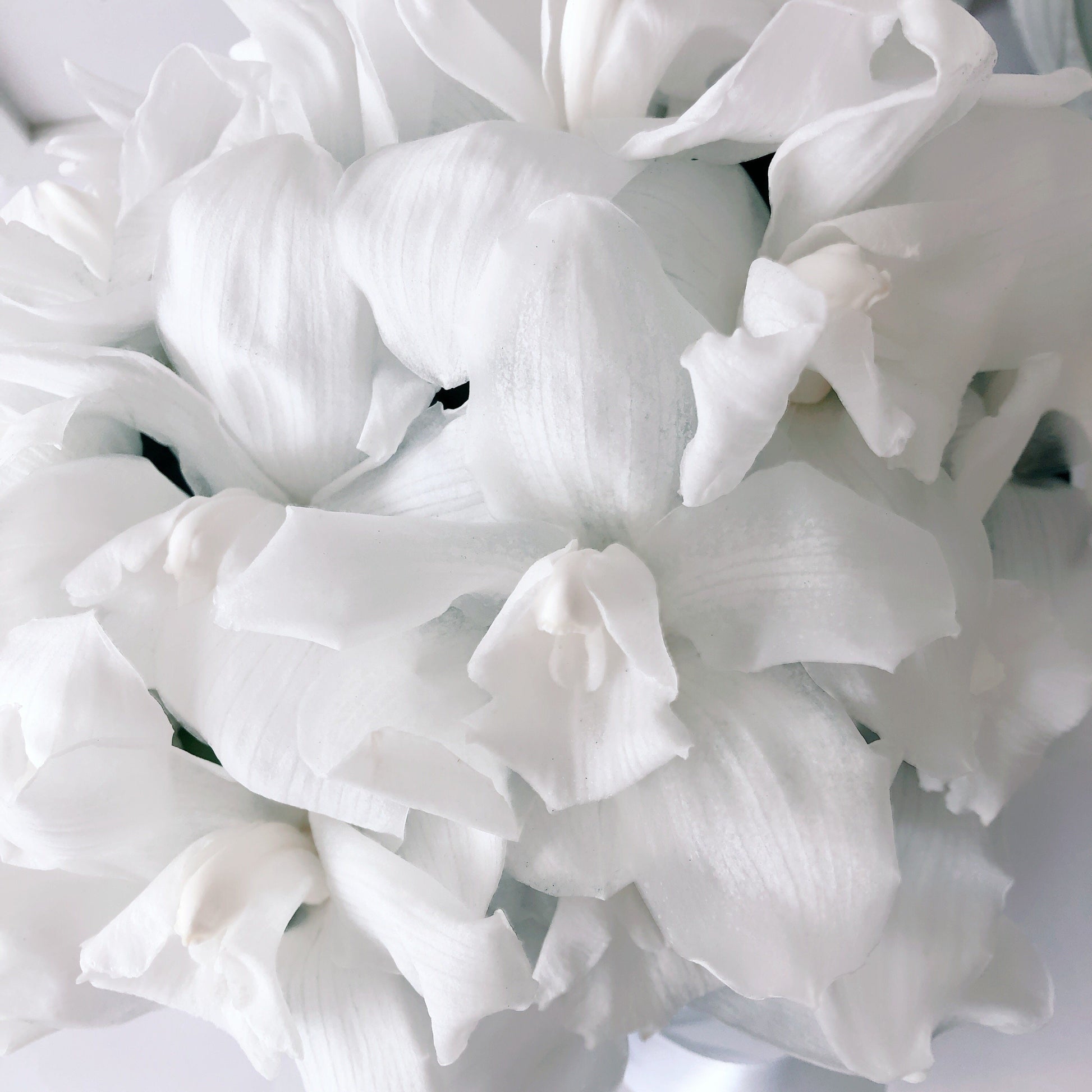 Composición floral de orquídeas preservadas blancas en caja de lujo