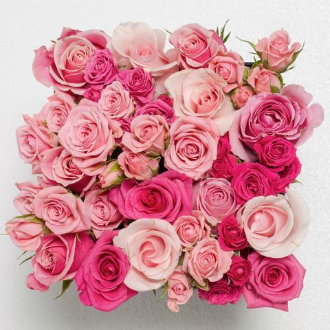 Colección Dia de La Madre - The Prestige Roses España - The Prestige Roses Madrid