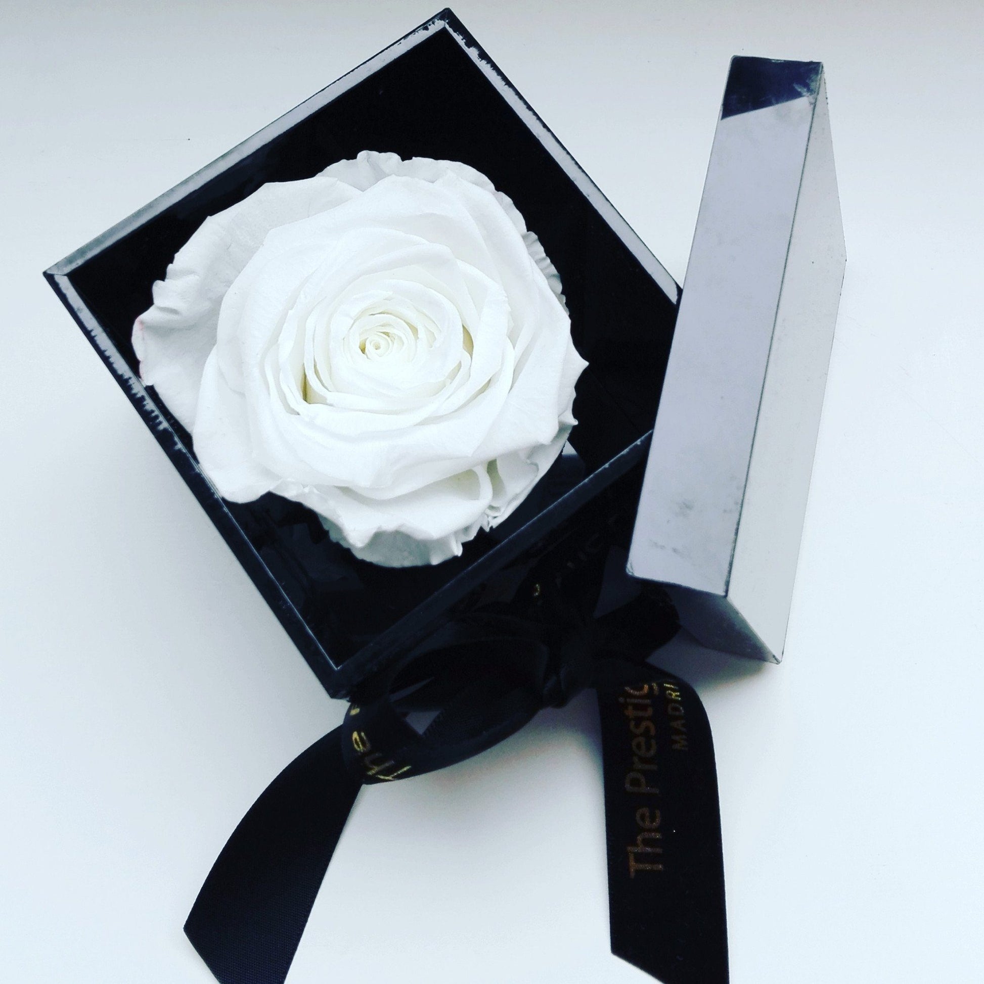 Detalle de rosa blanca preservada vista superior