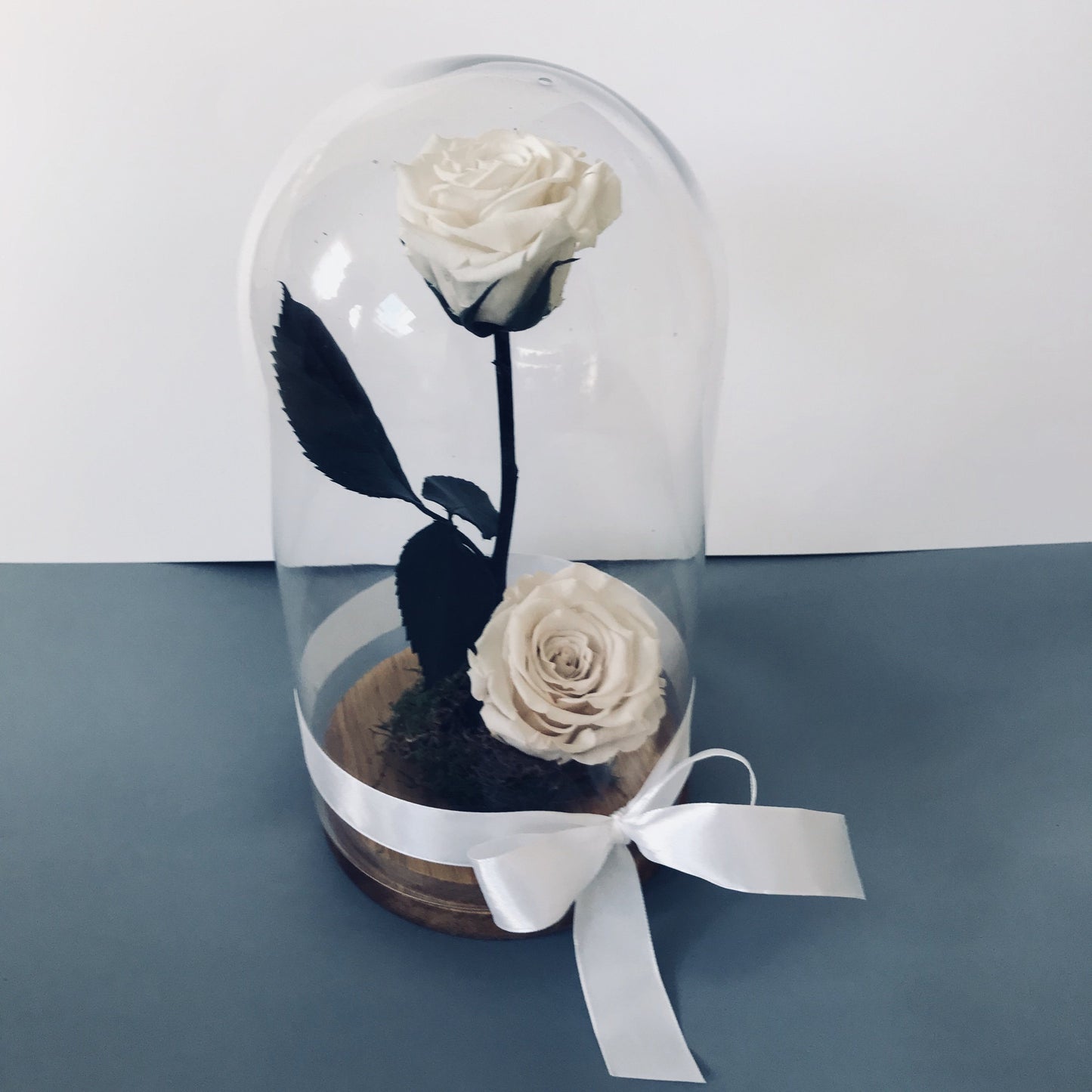 Colección cúpula de La Rosa Bella y Bestia  - De Rosas Preservadas - The Prestige Roses España - The Prestige Roses Madrid