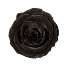 Caja Le Mini Terciopelo - The Prestige Roses - The Prestige Roses Madrid