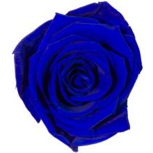 Caja Le Mini Terciopelo - The Prestige Roses - The Prestige Roses Madrid