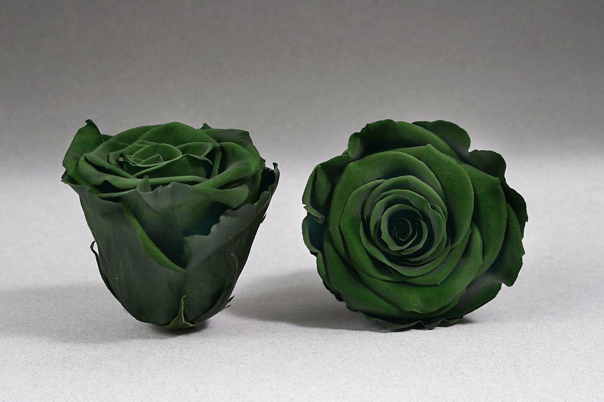 Caja Blanco Grande de Rosas Eternas Verdes | The Prestige Roses - The Prestige Roses Madrid
