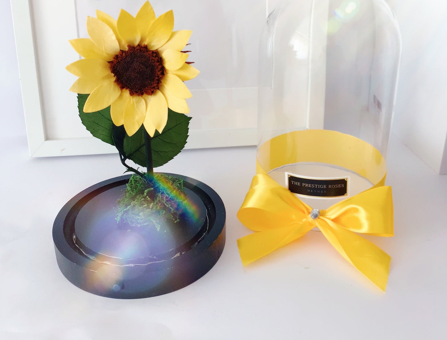 cúpula de La Rosa Bella y Bestia  - De Rosas Preservadas - The Prestige Roses España