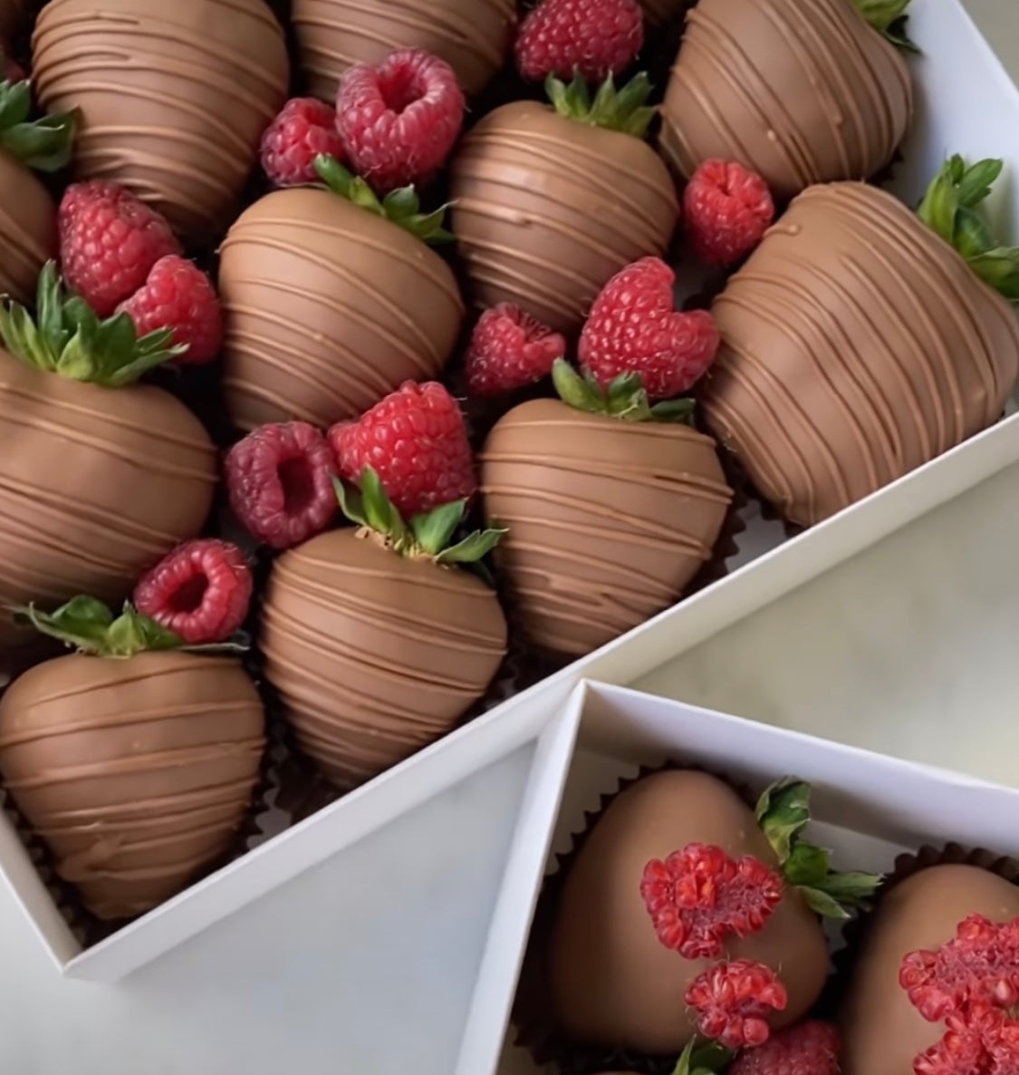 Colección Fresas con Chocolate - The Prestige Roses Espana