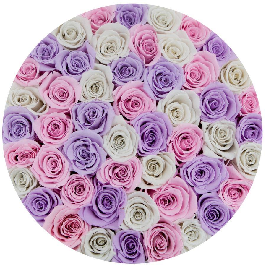 Rosas Arcoíris Preservadas - The Prestige Roses Madrid