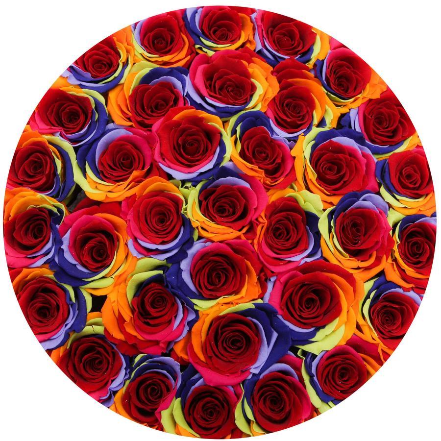 Rosas Arcoíris Preservadas - The Prestige Roses Madrid