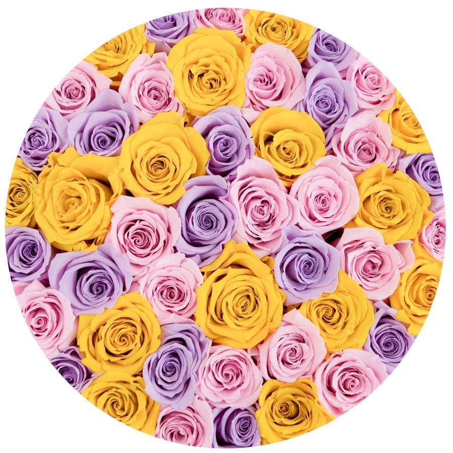 Rosas Arcoíris Preservadas - The Prestige Roses Madrid