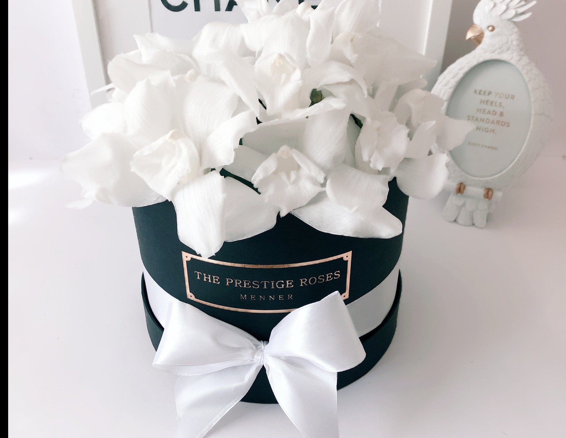 Caja de orquídeas preservadas blancas en caja negra con lazo blanco, entrega en Madrid