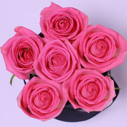 Rosas Fucsia Frescas - The Prestige Roses Madrid