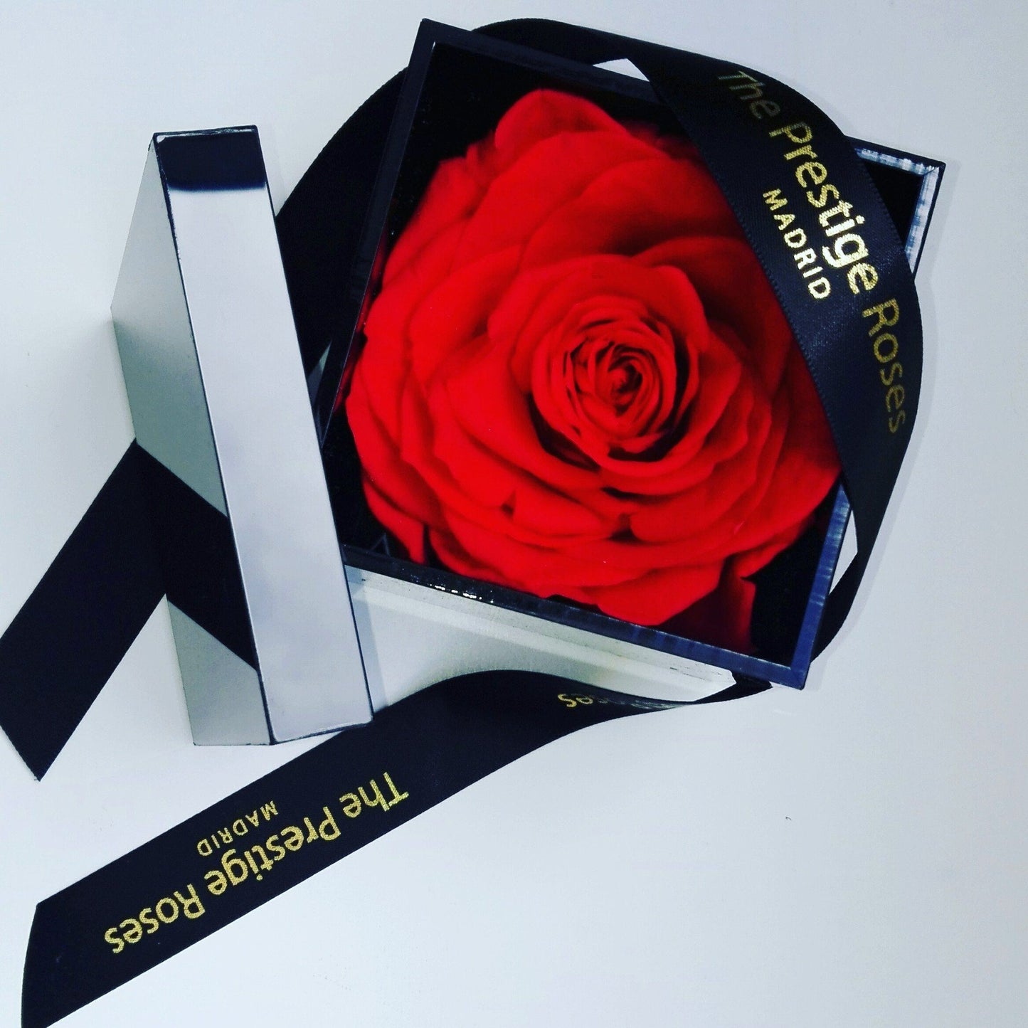 Caja de regalo con rosa blanca preservada elegante