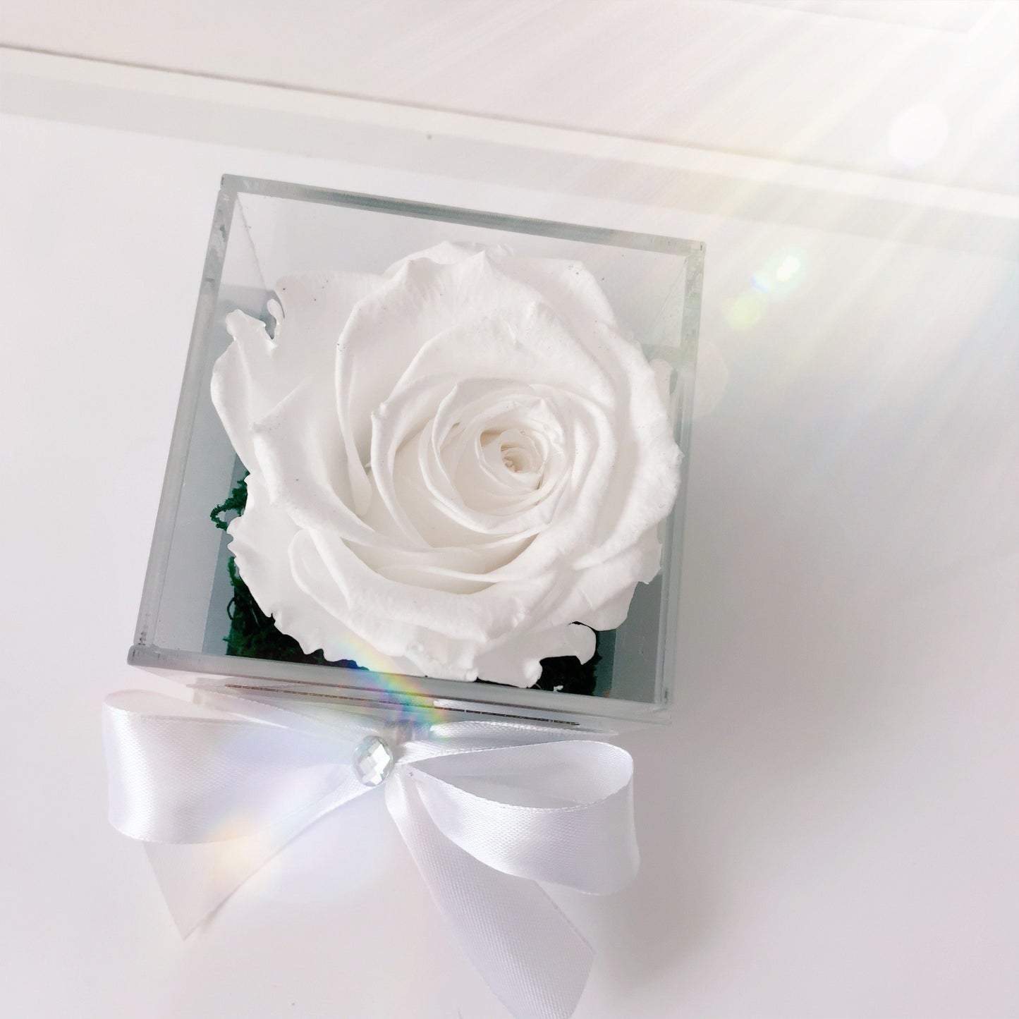 Rosa eterna blanca en caja negra con lazo