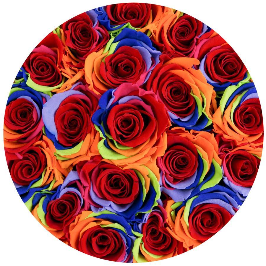 Rosas Arcoíris Preservadas - The Prestige Roses Madrid
