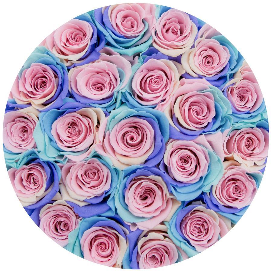 Rosas Arcoíris Preservadas - The Prestige Roses Madrid