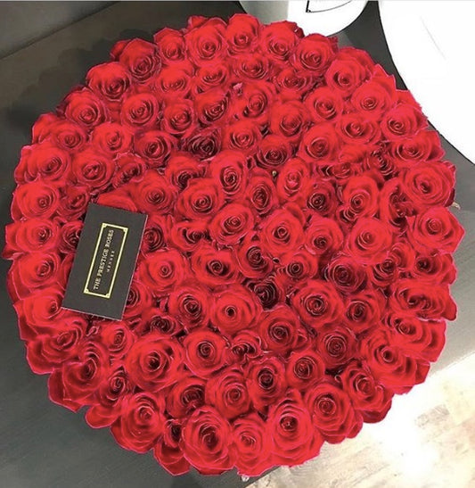 Todo lo que Debes Saber Sobre las Rosas