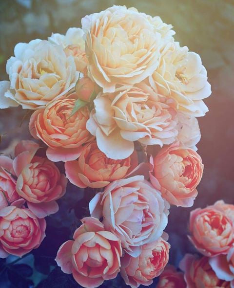 Wonderful Colours / Colores Increíbles!