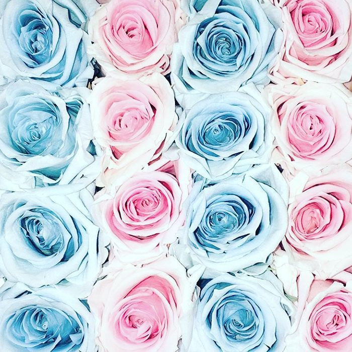Nuestras Hermosas Rosas Preservadas de Color Azul y Rosa Gradiente.