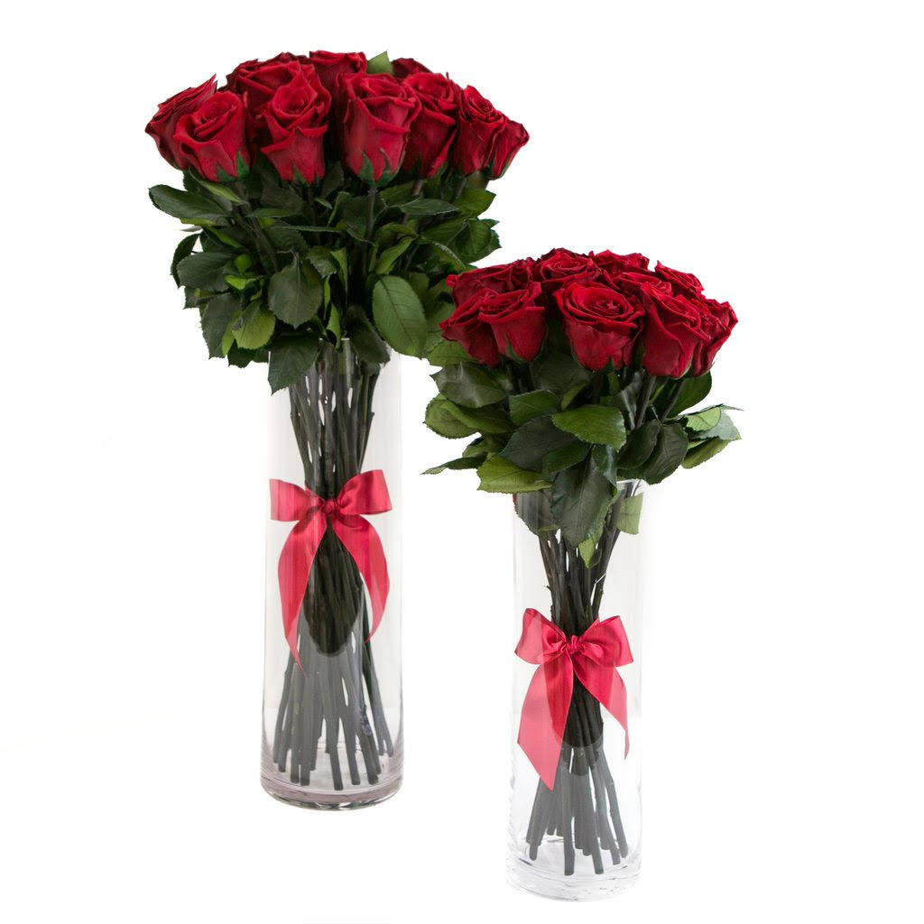 Colección de Rosas Preservadas con Tallos Largos, Un Nuevo Producto de The Prestige Roses Espana