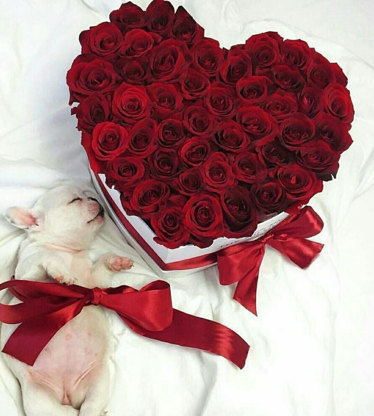 Flores para enamorar