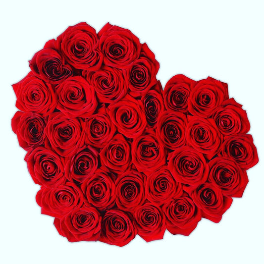 Colección San Valentin de Rosas Naturales y de Preservadas