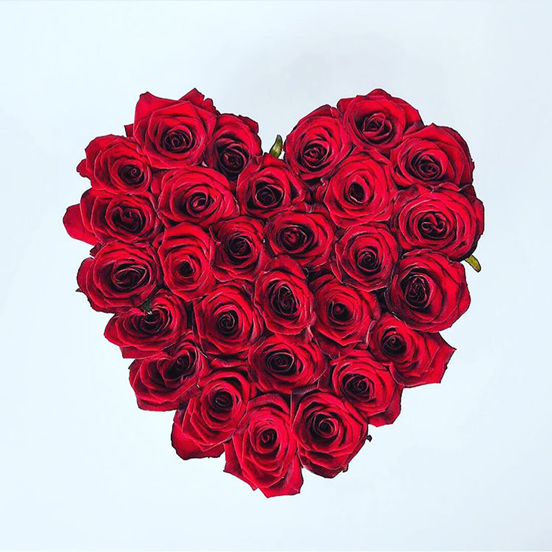 Flores para Hospitales o Clinicas