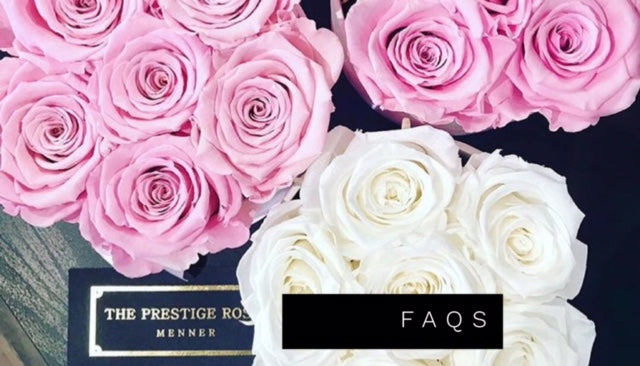 Preguntas Frecuentas  - FAQs