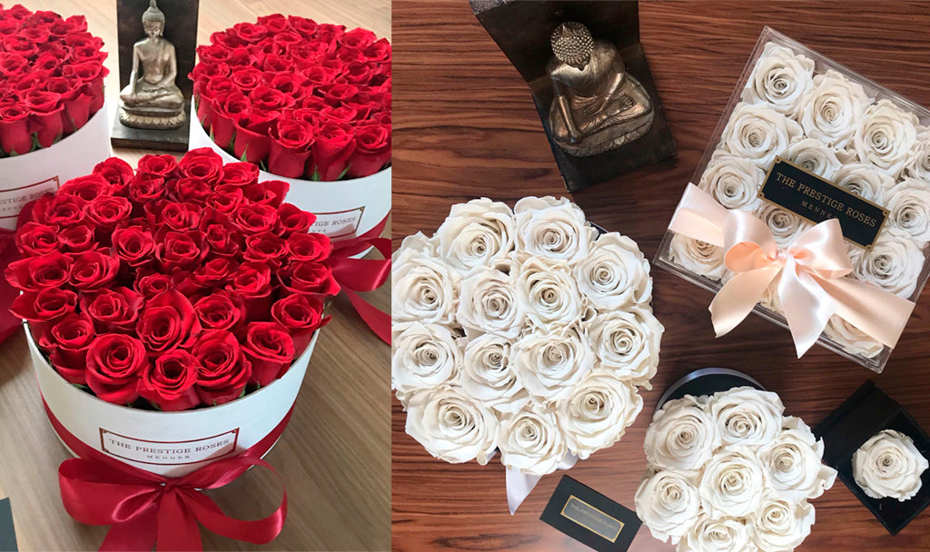 The prestige roses