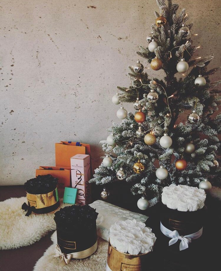 Coleccion Navidad - La Mejor Colección de Rosas Rojas Preservadas para Navidad