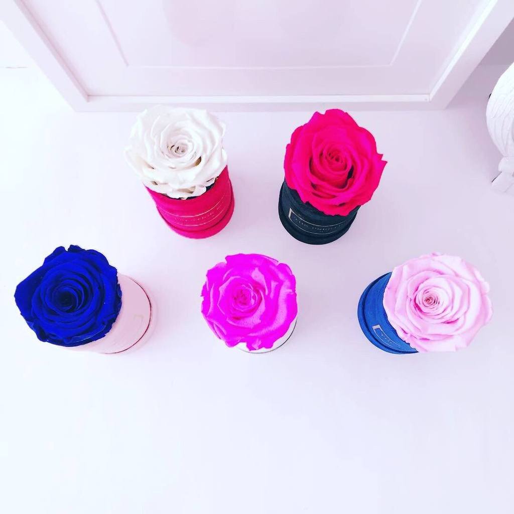 ¿Sabes qué significa cada rosa según su color?