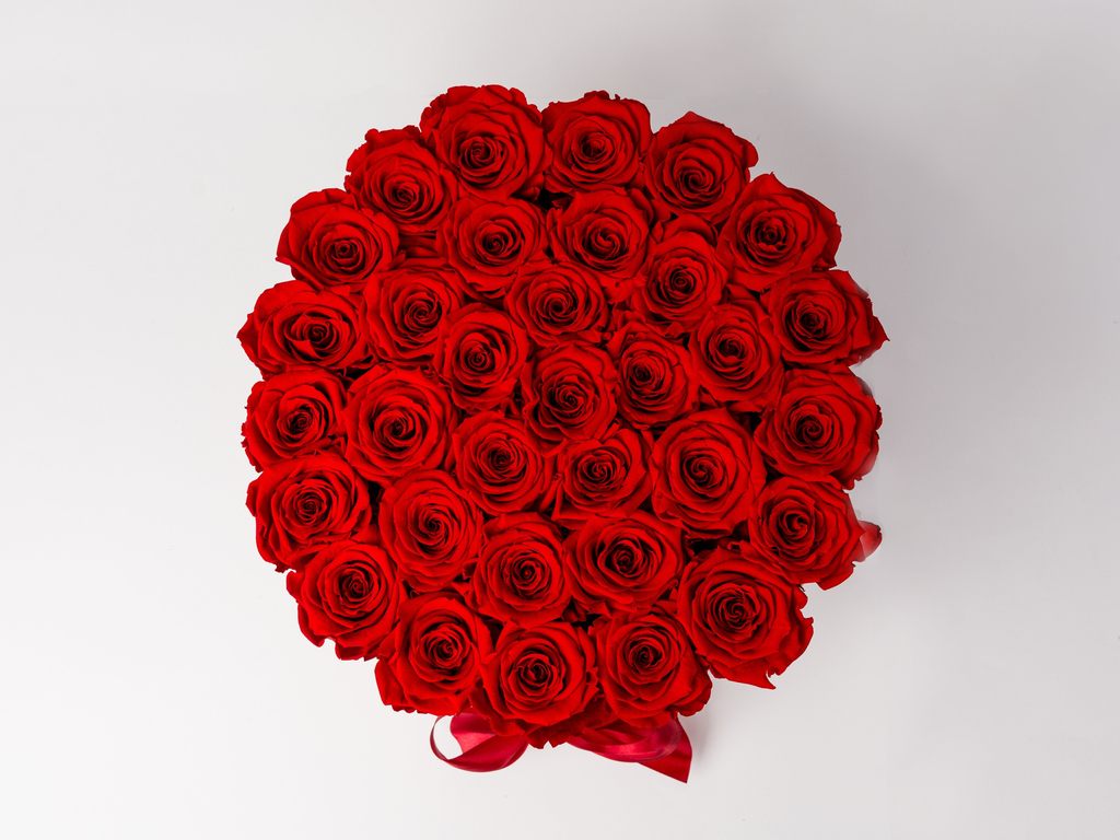 Rosas frescas y rosas preservadas: diferencias y cuidados