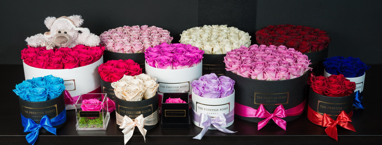 rosas preservadas