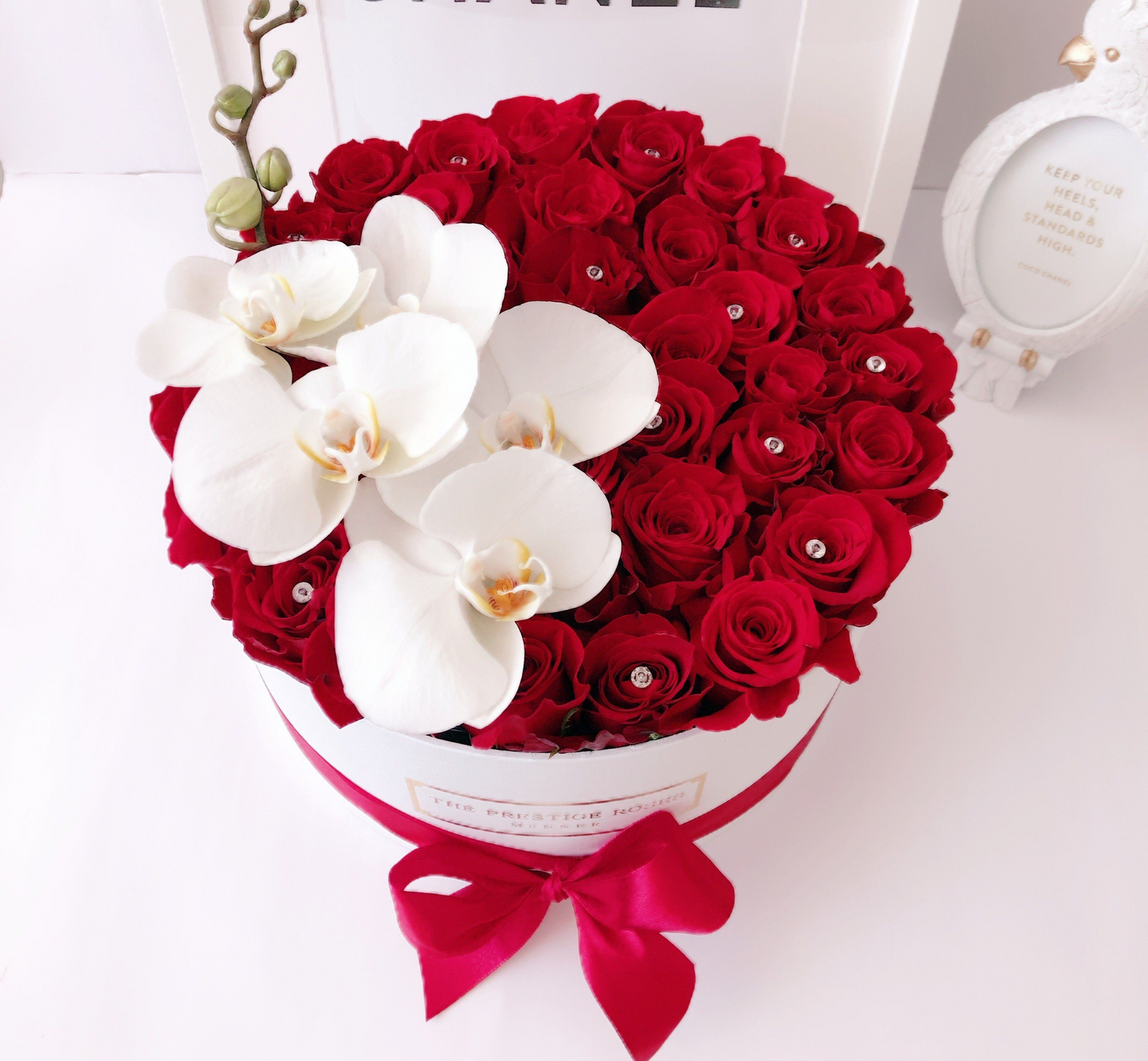 rosas y orquídeas