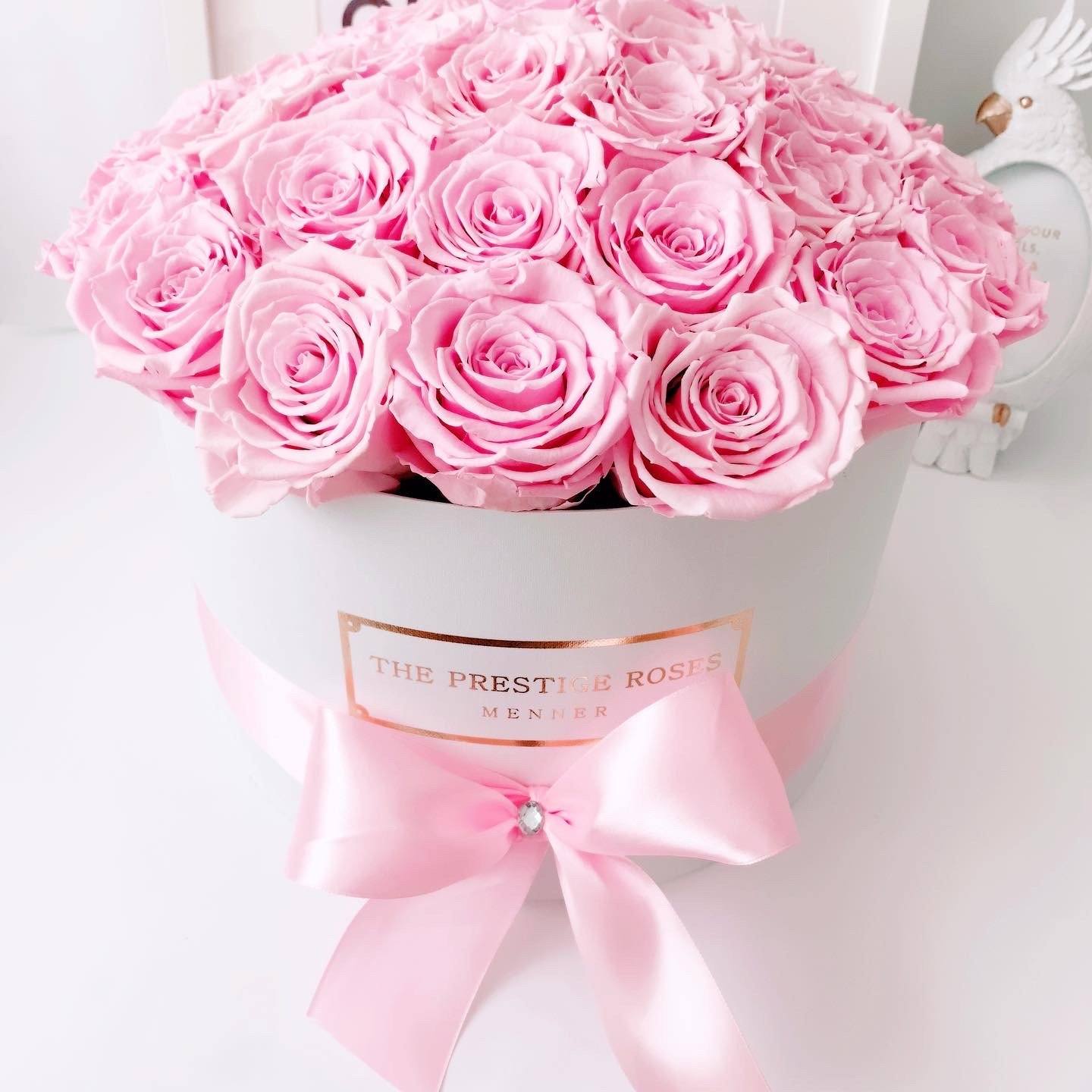Rosas preservadas