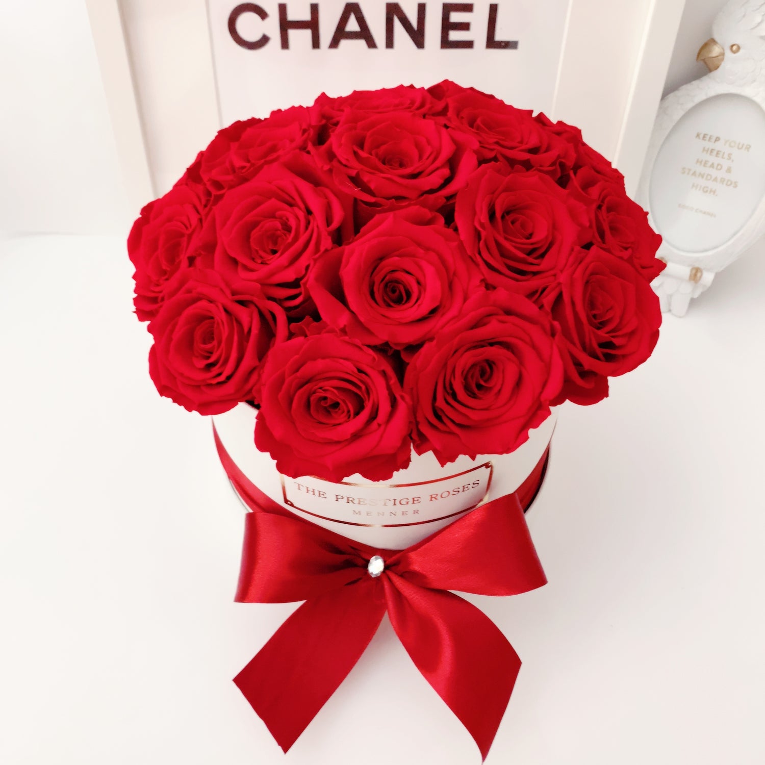 Colección Dome The Prestige Roses