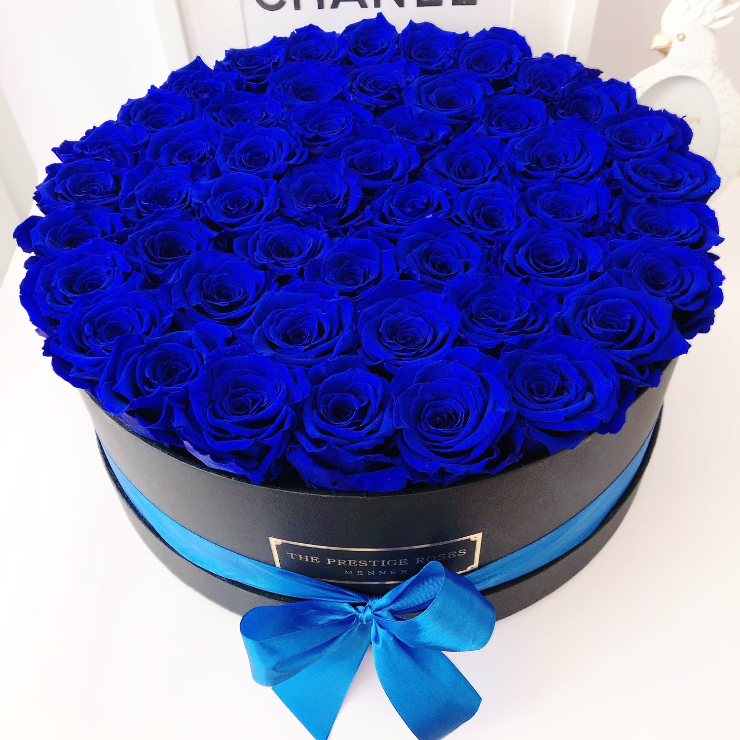 rosas azules frescas y preservadas