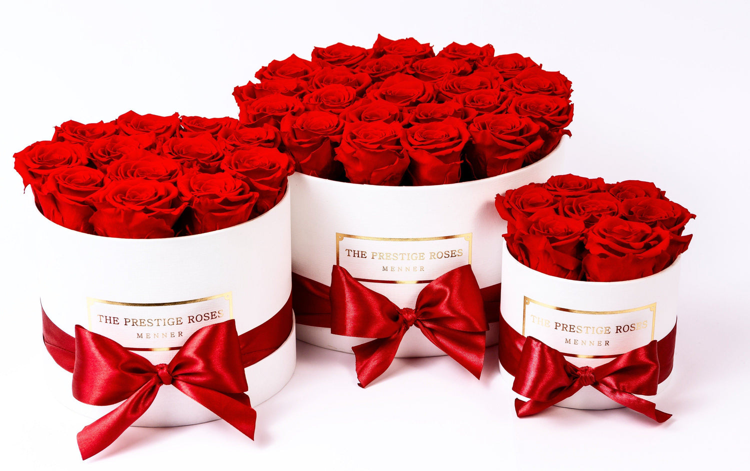 Rosas rojas preservadas