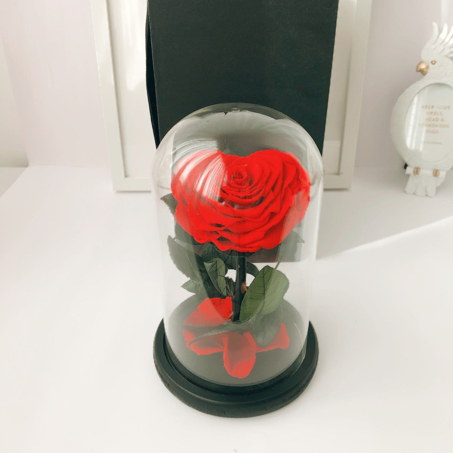 flor bella y bestia