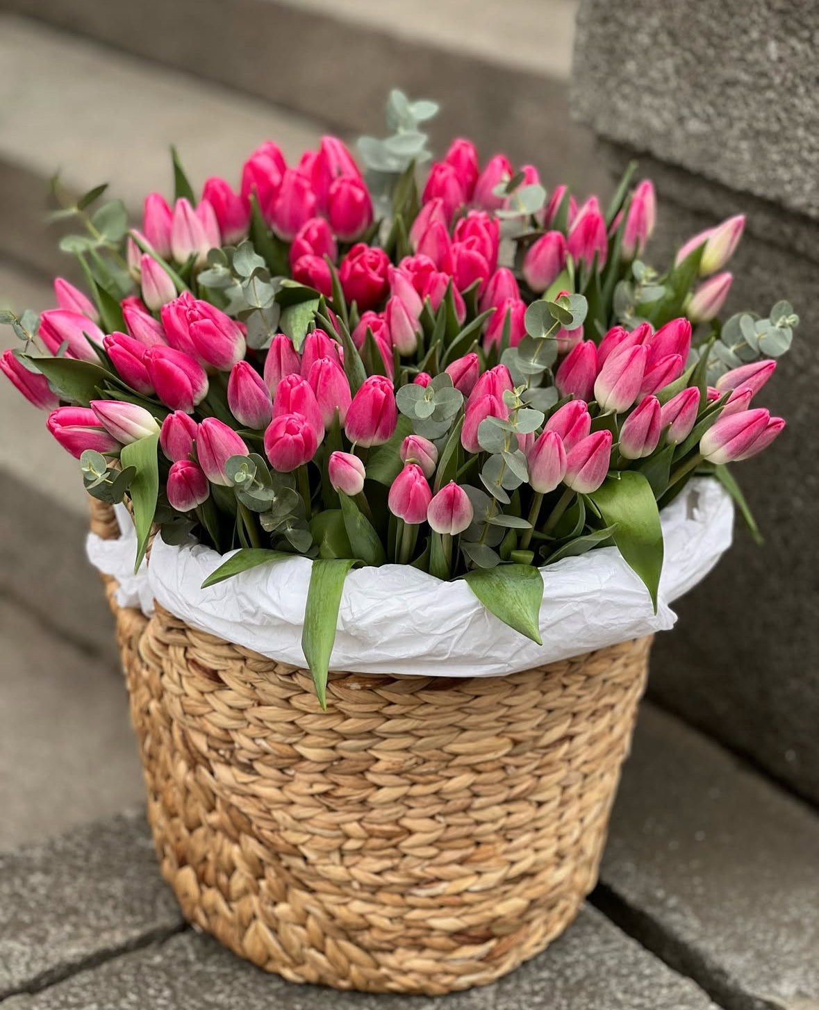 ramo elegante de 101  tulipanes vibrantes fucsia en cesta a domicilio en Madrid 