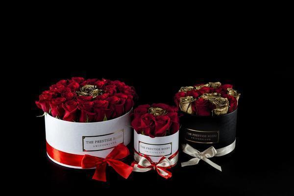 rosas frescas 