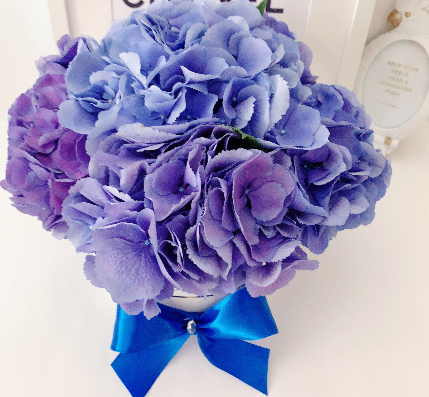 Hortensias The Prestige Roses España