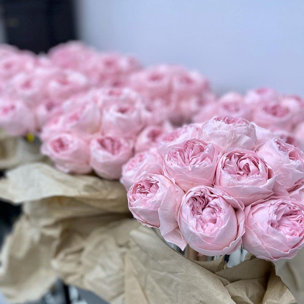Flores Preservadas The Prestige Roses España