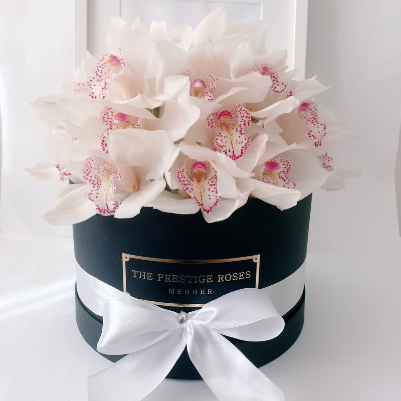 Orquídeas en caja para San Valentin a domicilio a Madrid