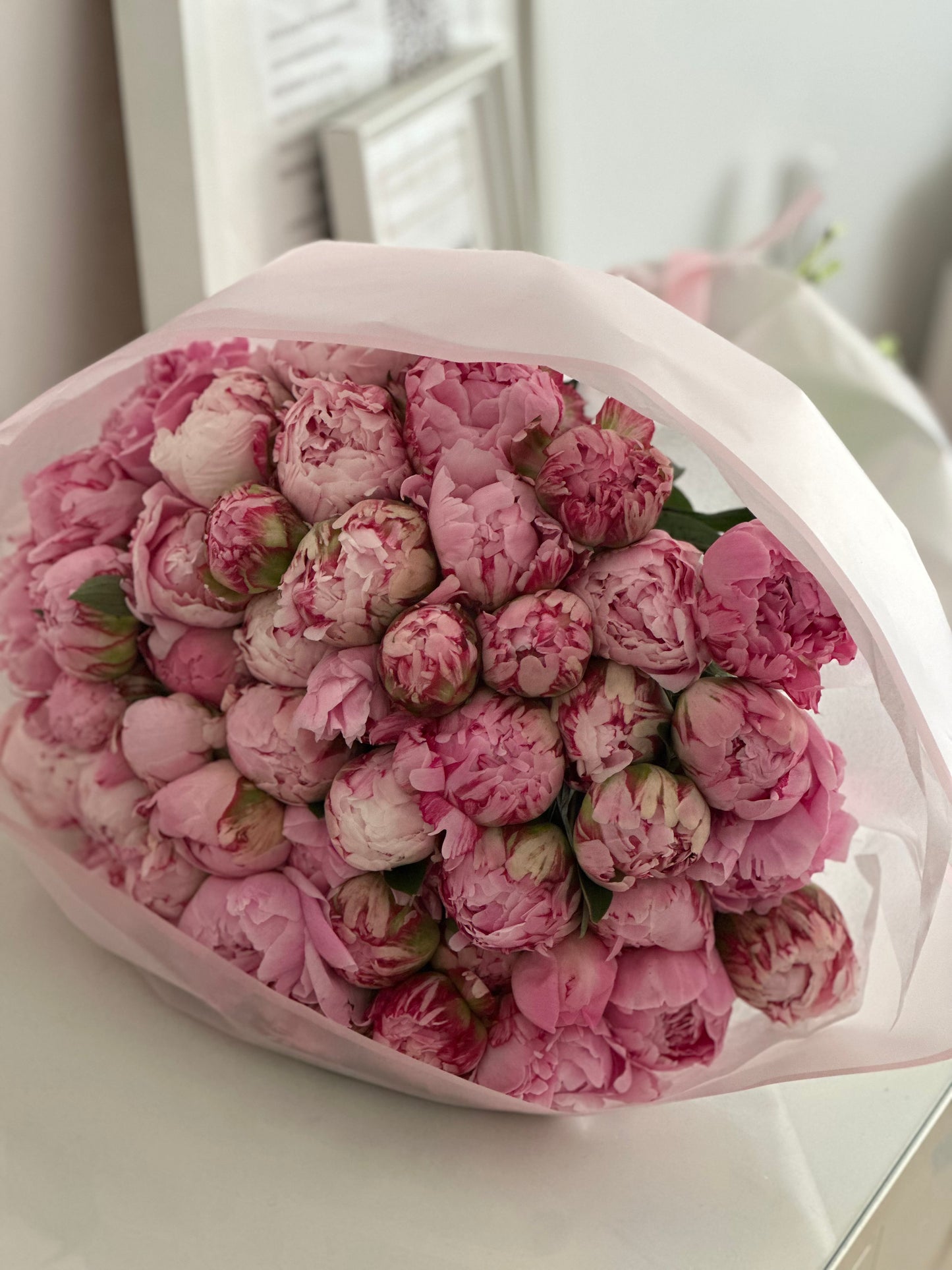 Prestige Peonies – 50 Peonías de Alta Gama