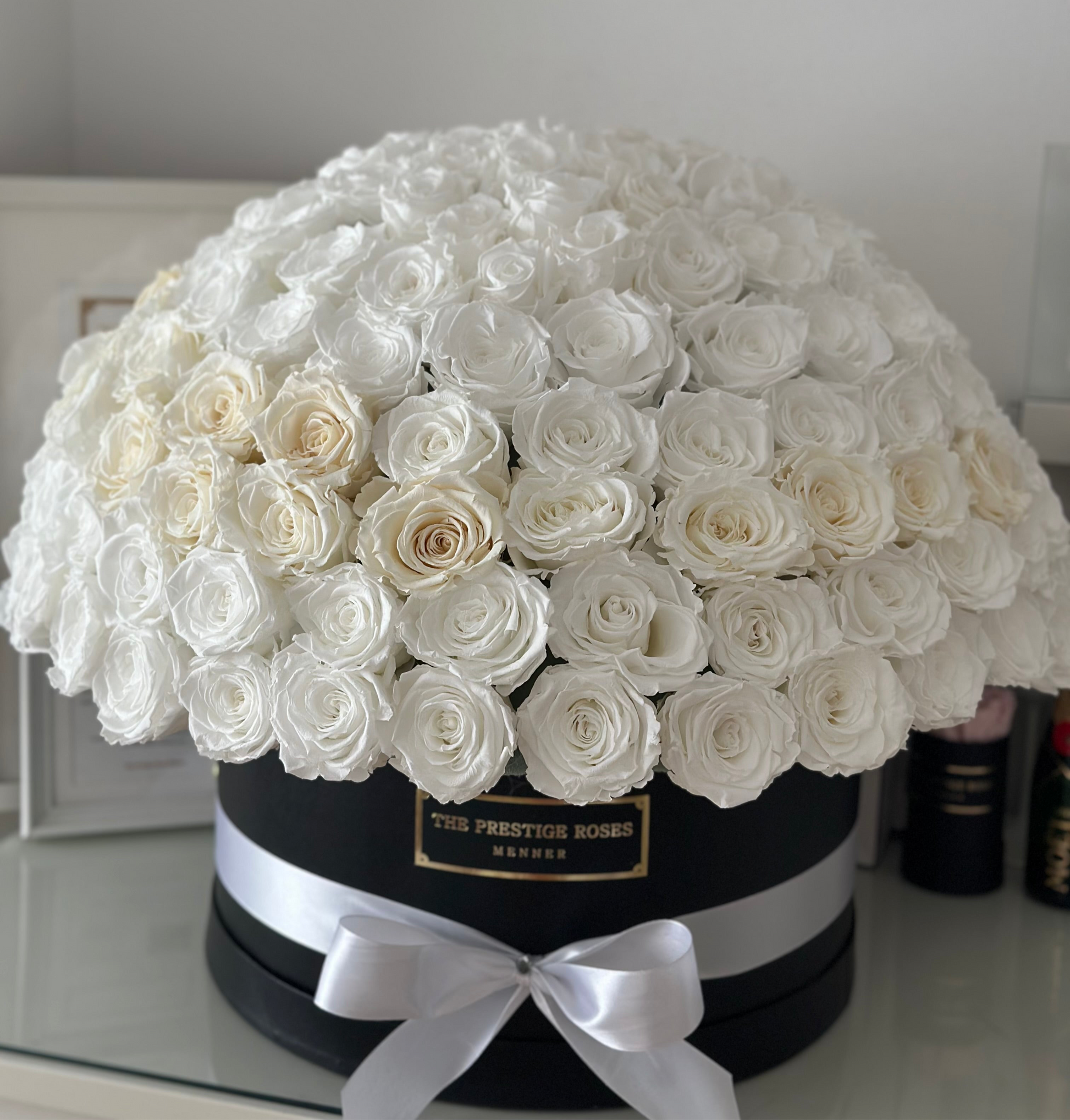 Caja Elite DOME con rosas blancas preservadas que duran hasta 3 años