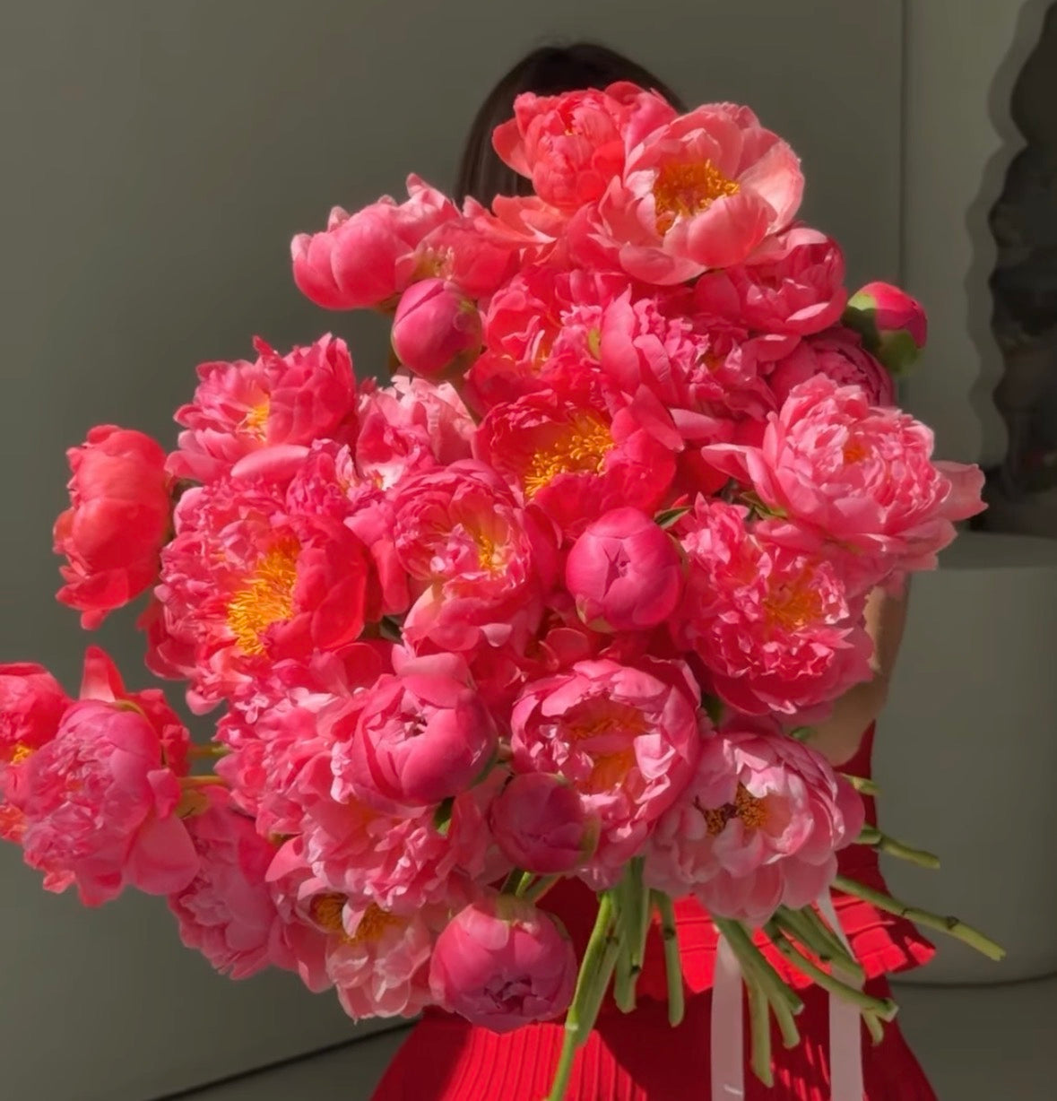 Peonías Coral Elegance