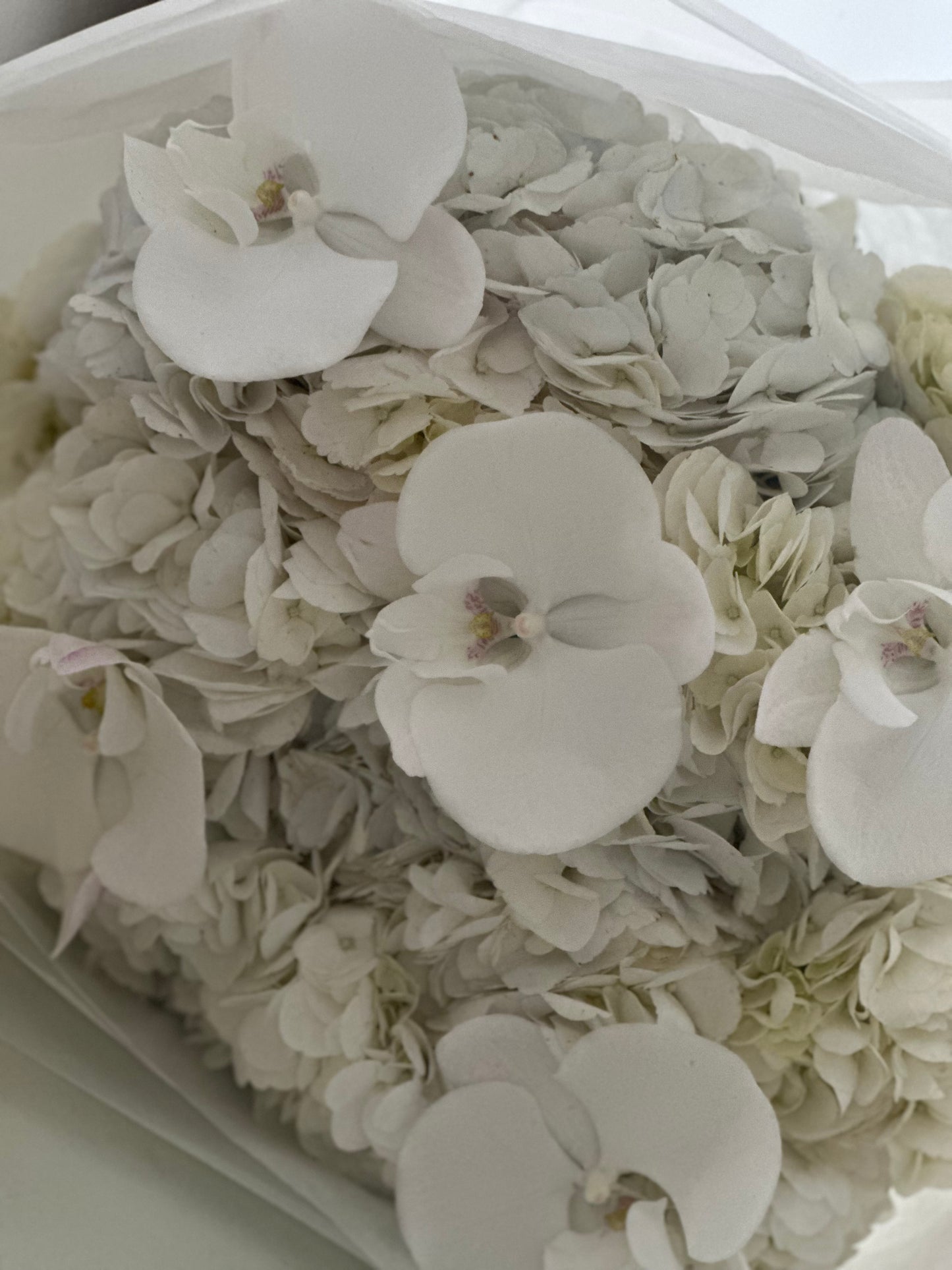 Bouquet de Hortensias – Edición de Otoño by The Prestige Roses