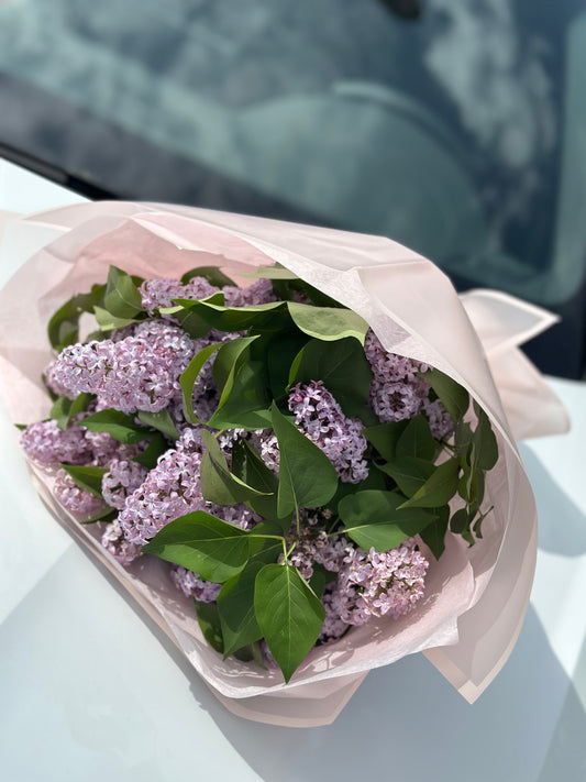 Ramo de lilas frescas envueltas en papel rosa claro - flores elegantes The Prestige Roses Madrid