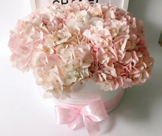 Caja de hortensias preservadas en tonos rosa y blanco